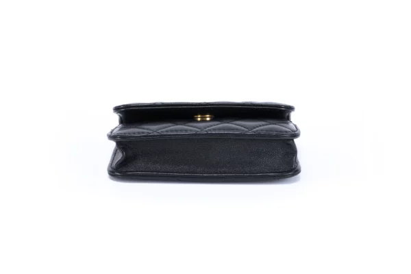 Chanel Mini Leather Bag - Obrázek 4